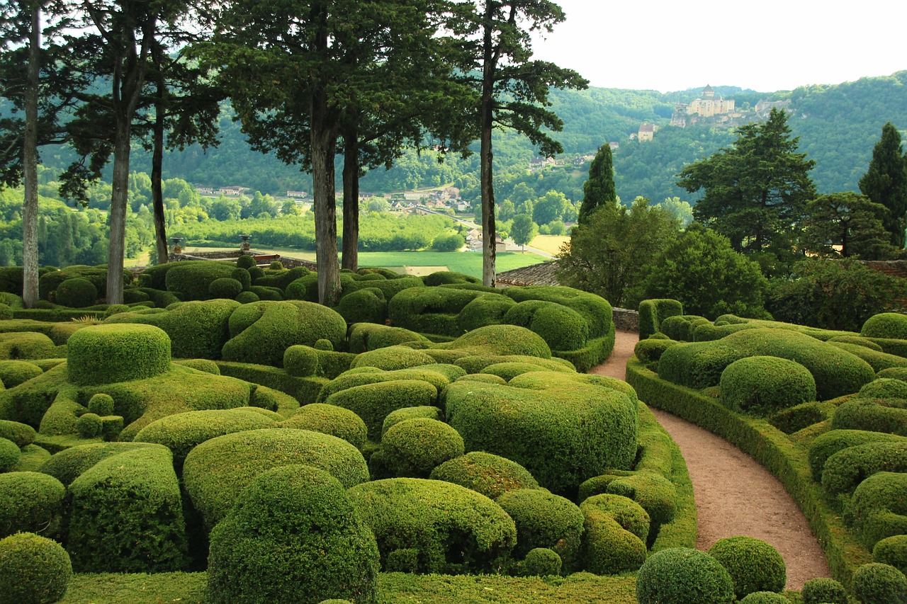 marqueyssac balls france pruned bush marqueyssac marqueyssac france france france france france