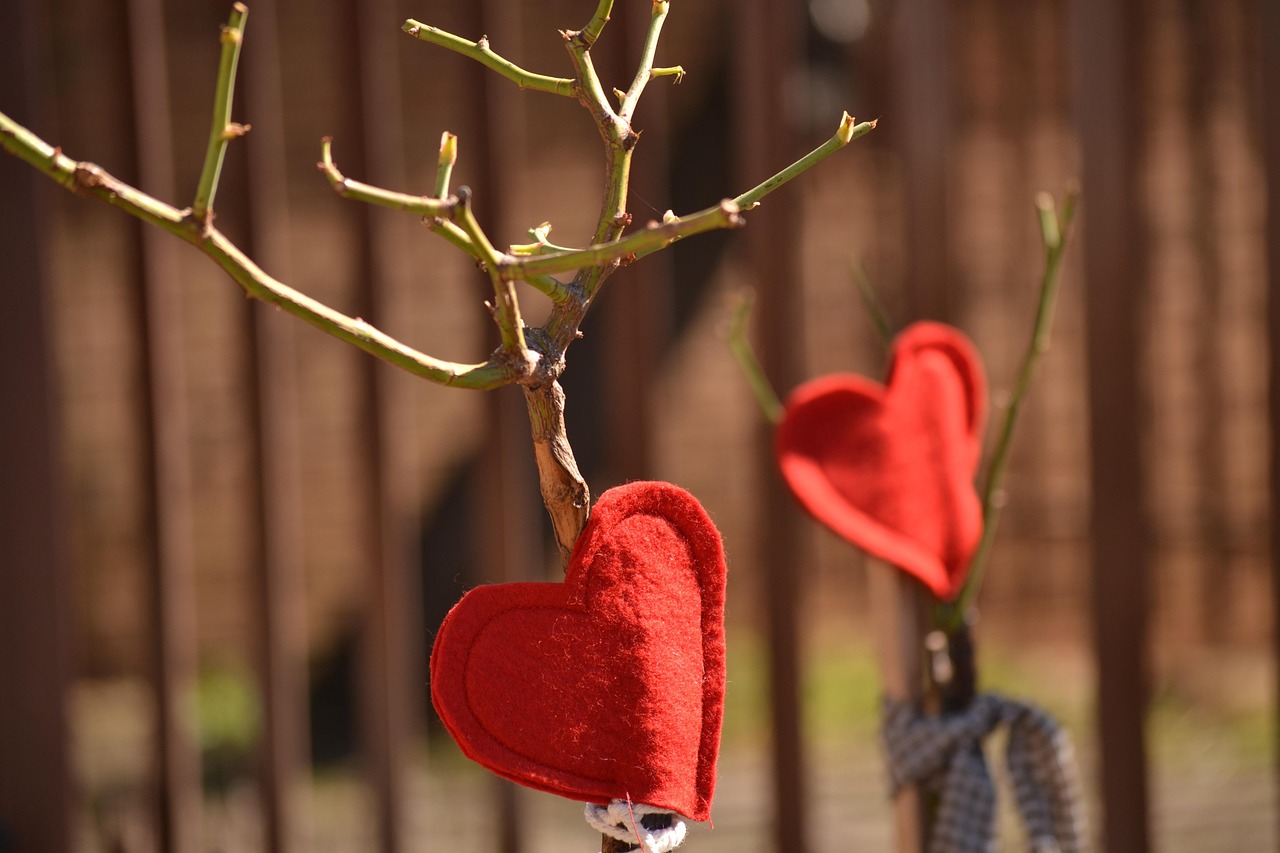 red hearts decoration rose tree pruned brown heart brown rose