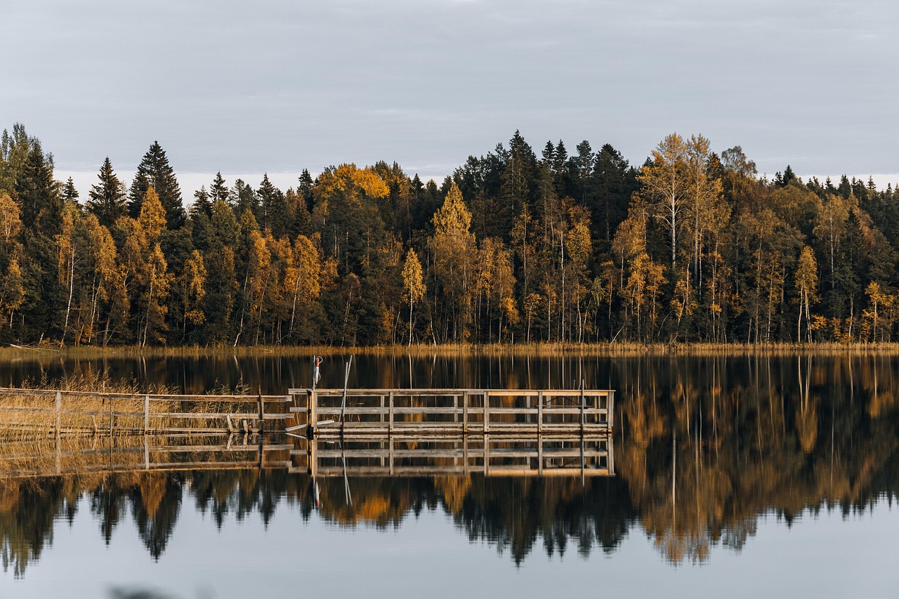 lake overwater boardwalk autumn nature forest landscape trees