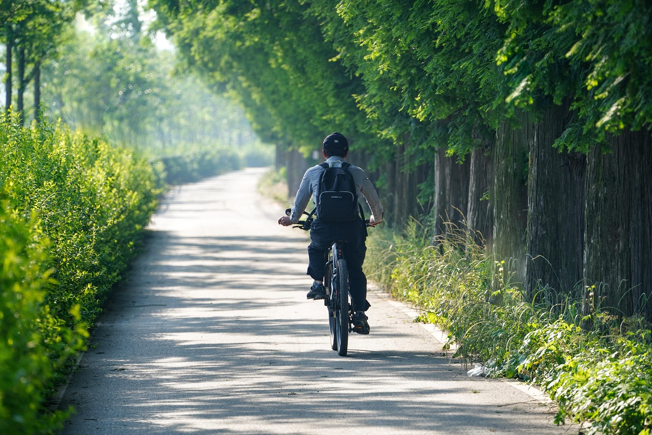 man riding cycling bike exercise republic of korea landscape cycling cycling cycling cycling cycling exercise landscape