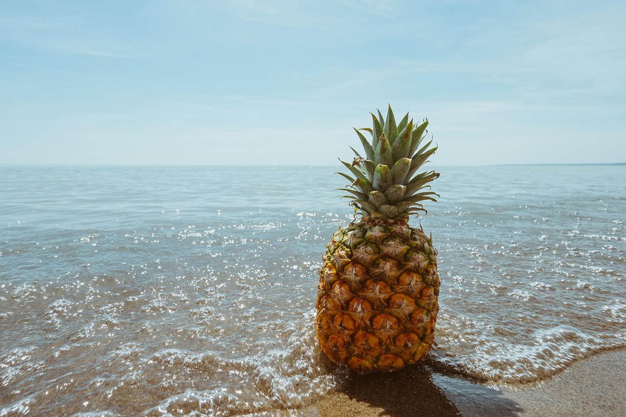 pineapple beach tropical nature coast fruit ocean sea seascape seashore water tropical fruit fresh ripe