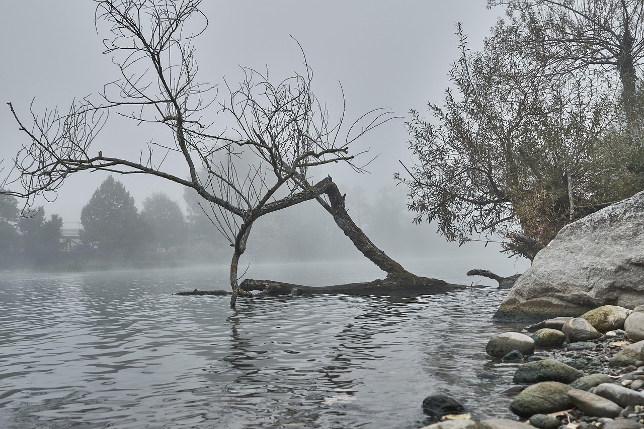 fog flow deadwood deadwood deadwood deadwood deadwood deadwood