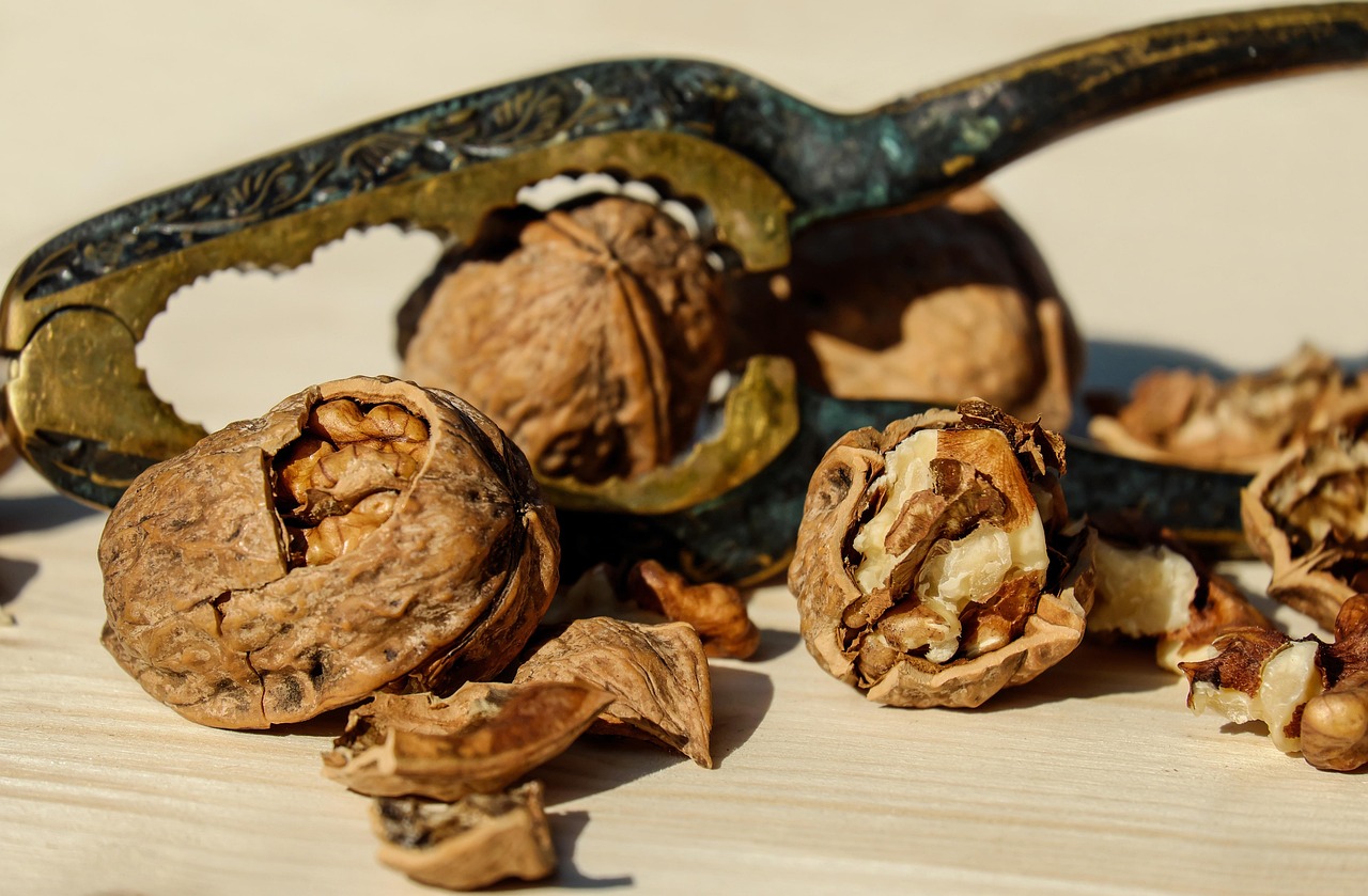 walnut nut brown nuts food healthy nutcracker crack to open shell nut kernel meal walnut walnut walnut walnut walnut nut nuts