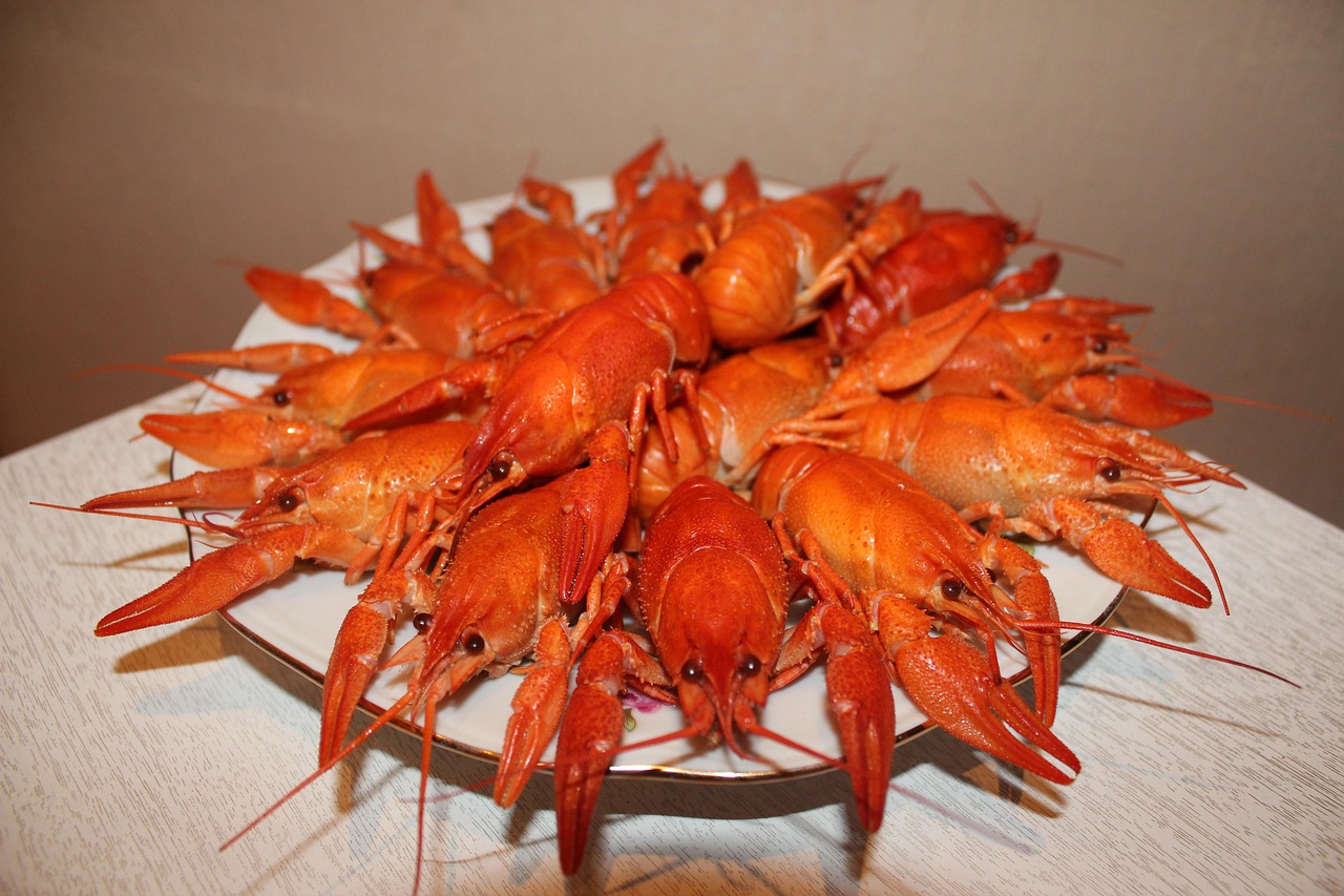 crayfish boiled crawfish red crayfish food snack crayfish crayfish crayfish crayfish crayfish