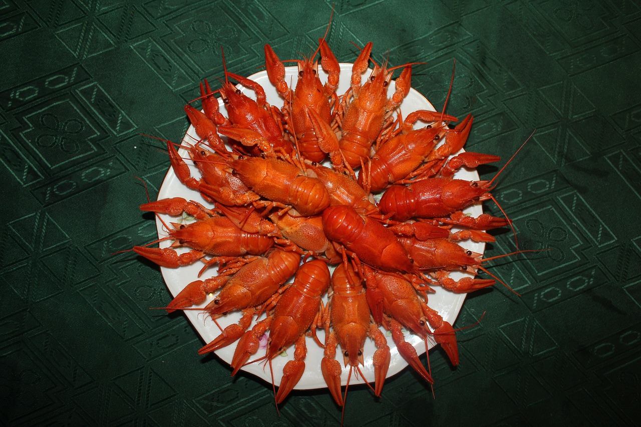 crayfish boiled crawfish red crayfish food snack crayfish on a plate crayfish crayfish crayfish crayfish crayfish