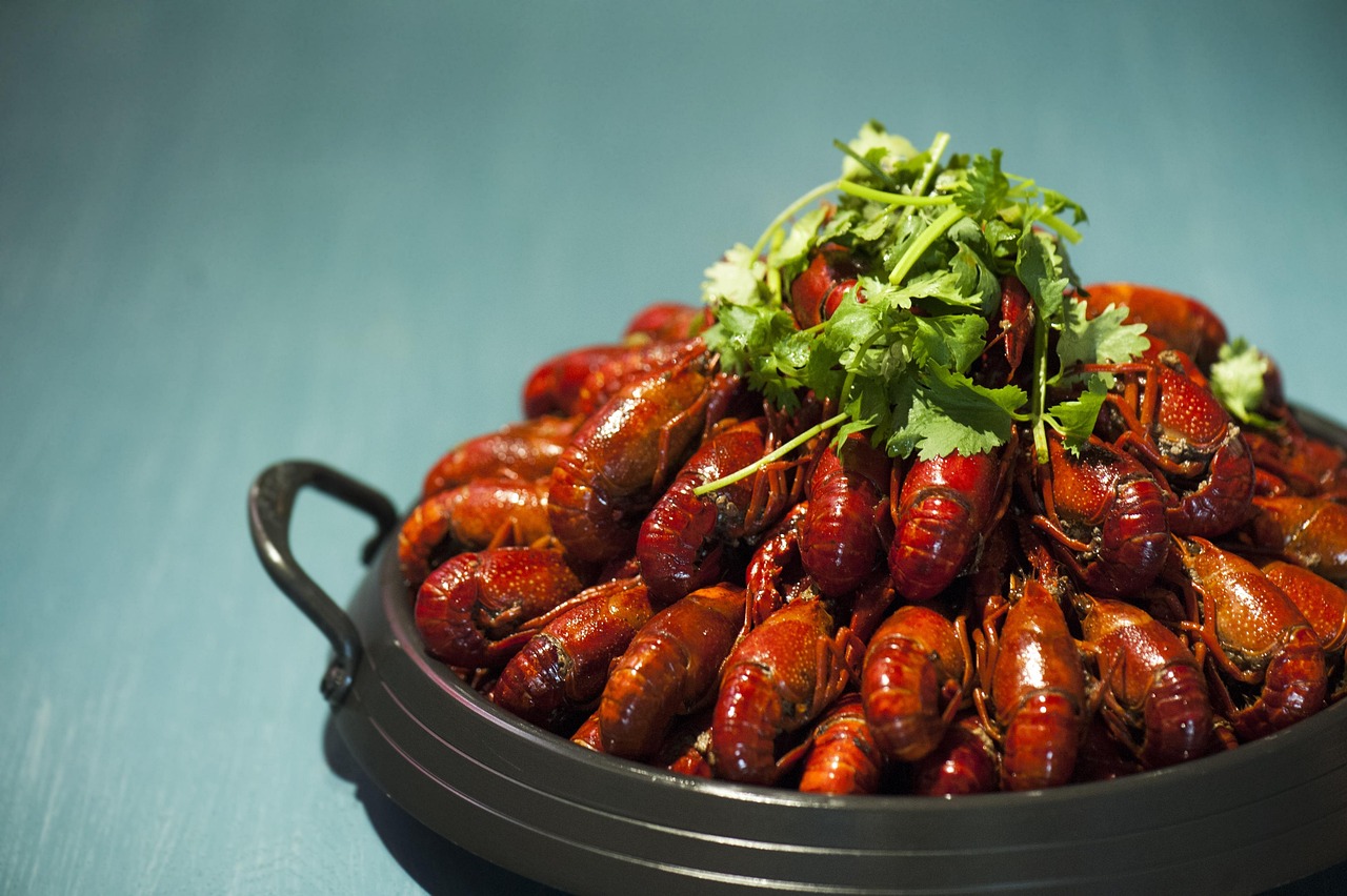 crayfish crayfish 1 the crayfish 2 crayfish crayfish crayfish crayfish crayfish