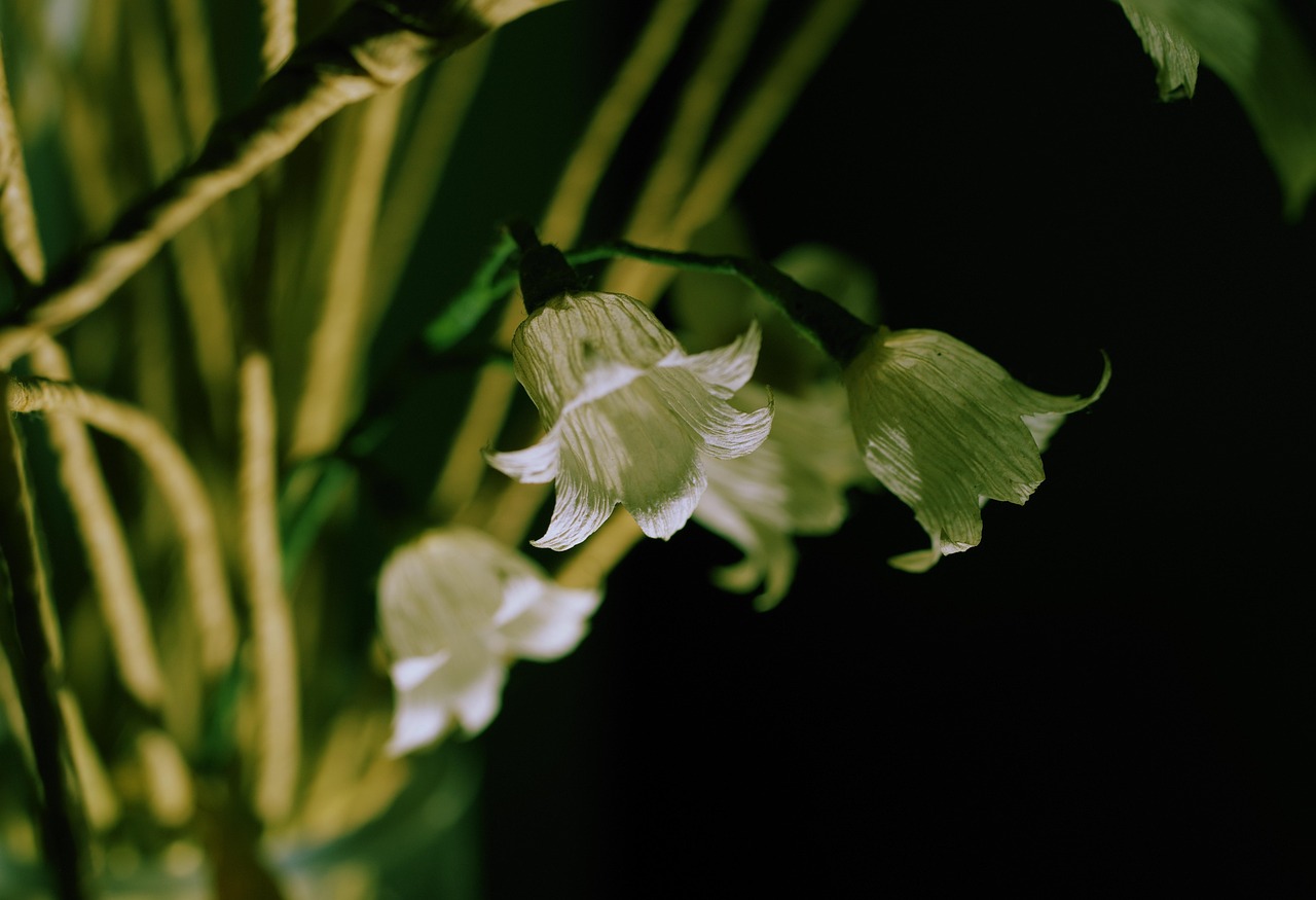 lily of the valley paper flowers white flowers convallaria majalis handmade close up
