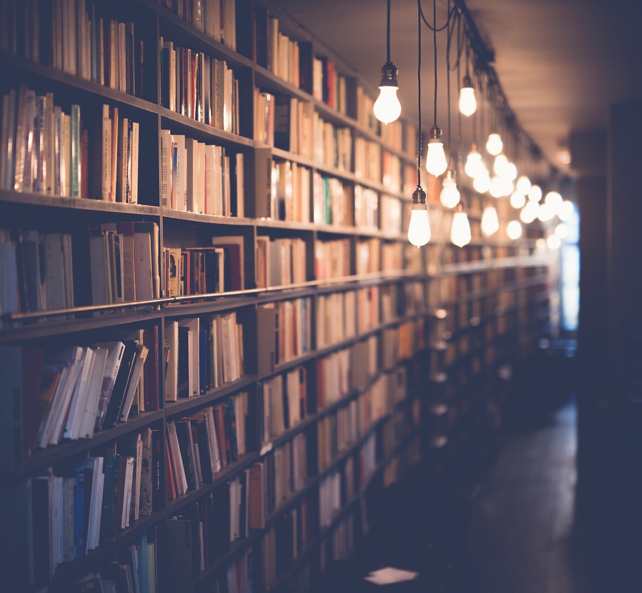 books library room school study knowledge education shelf light bulb books books books library library library library library school school school study study education education