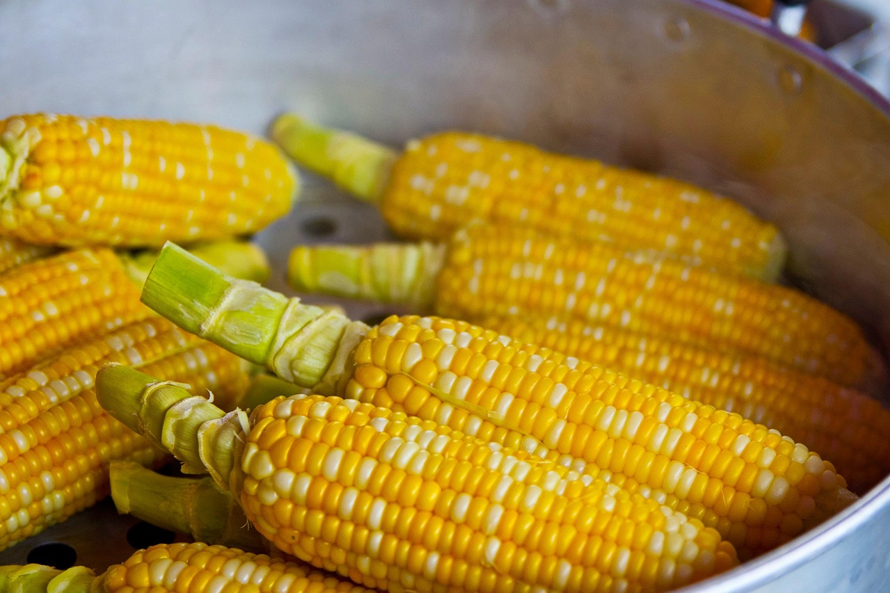 pop corn yellow popcorn food nutrition eat ingredient corn corn corn corn corn corn