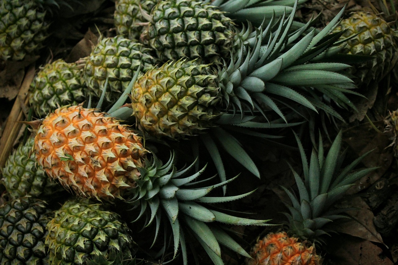 pineapple fruit food pineapple pineapple pineapple pineapple pineapple