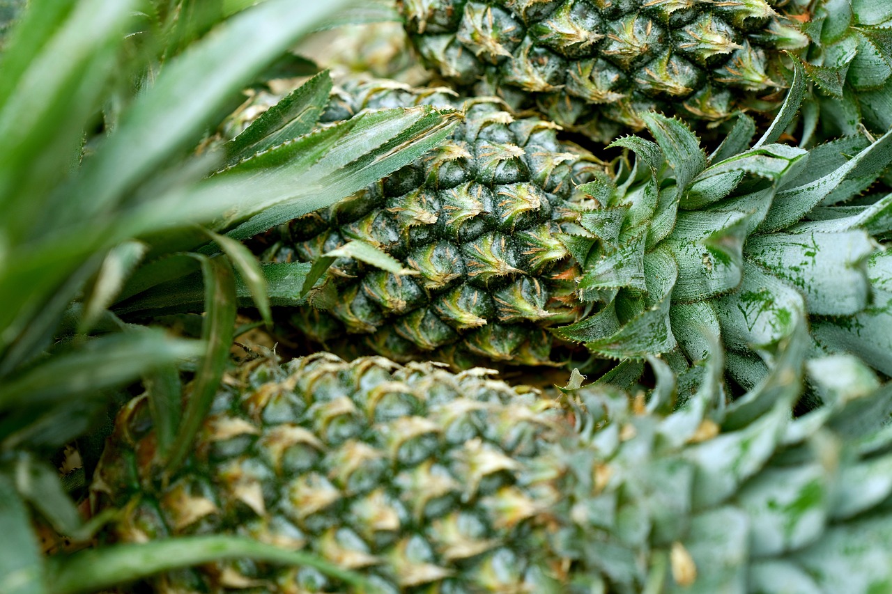 pineapple fruit fresh food ripe organic pineapple fruit fruit fruit fruit fruit