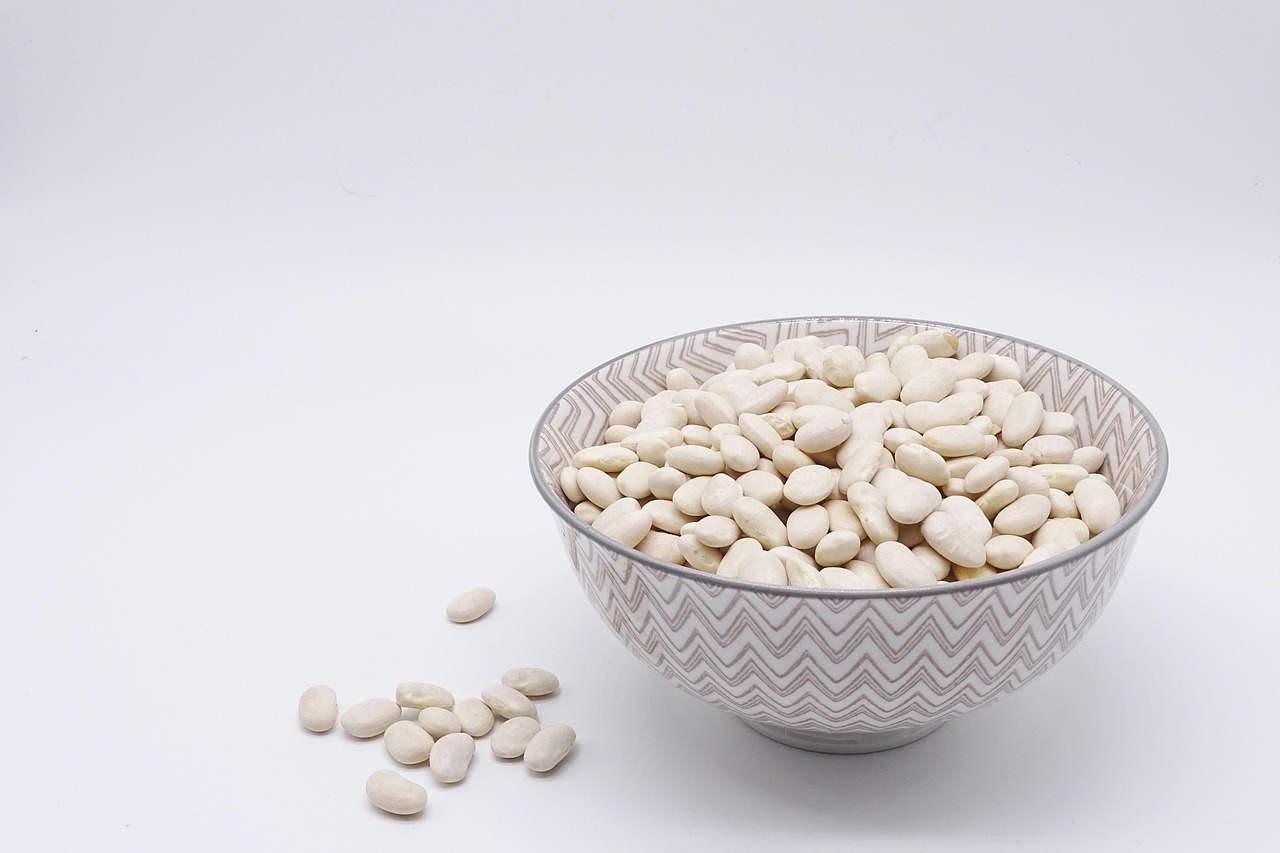 bean white beans legumes food protein vegetarian