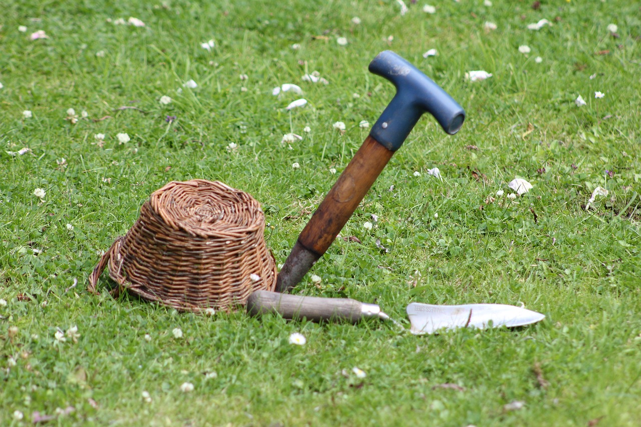 garden lawn tools grass yard dibber trowel nature backyard gardening
