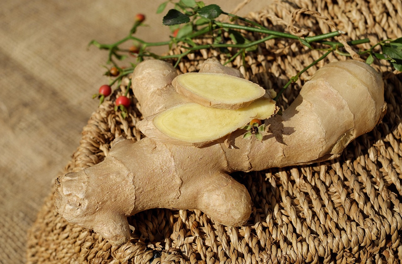 ginger ingber immerwurzel root sharp seasoning food medicinal plant healthy ginger ginger ginger ginger ginger