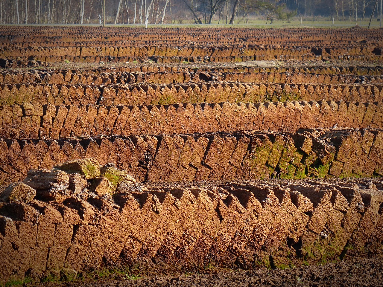peat peat cutting potting soil peat slabs raised bog peat peat peat peat peat peat