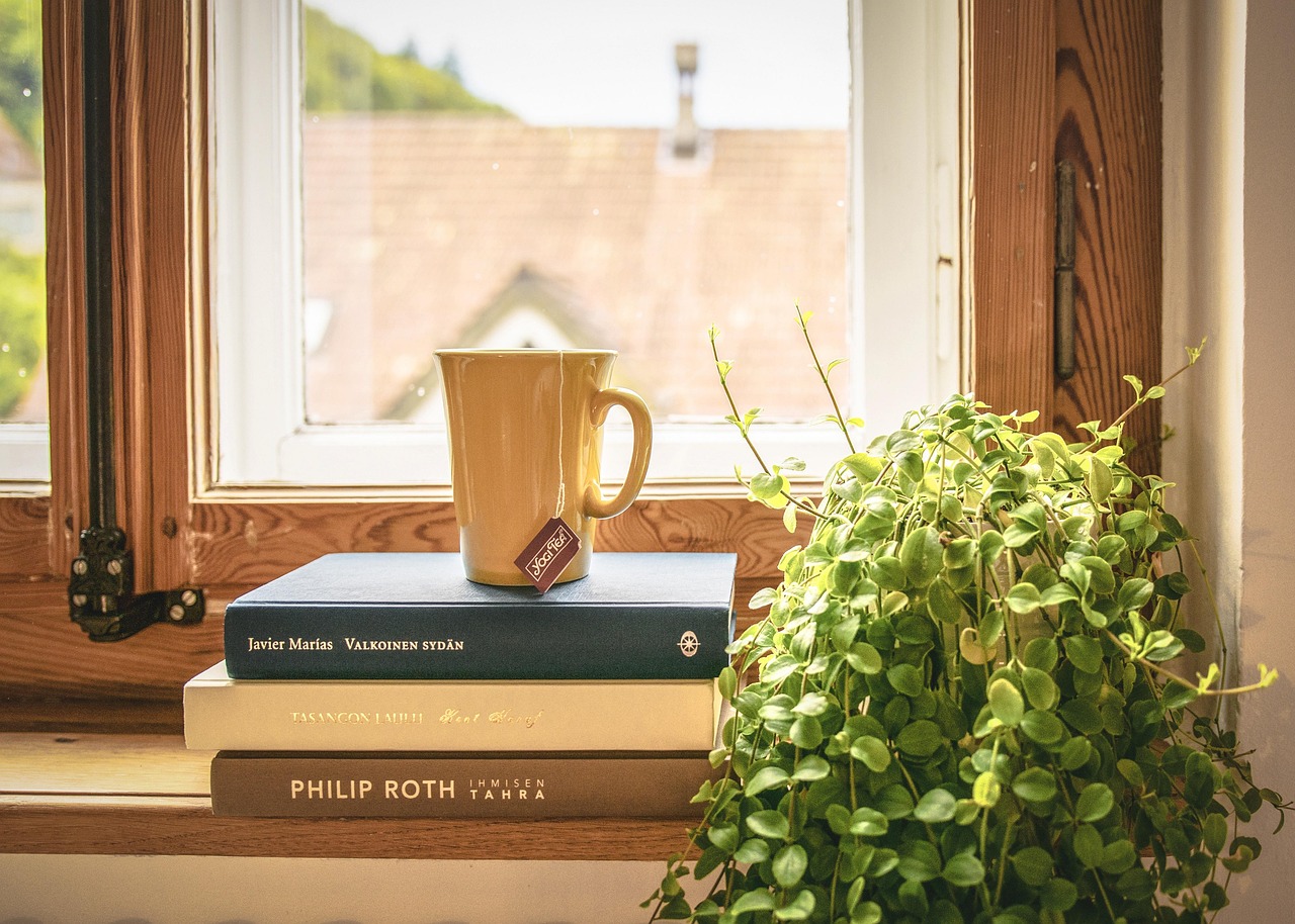 book read tee literature window sill houseplant window frames novel home apartment cup book book book book home home home home home apartment
