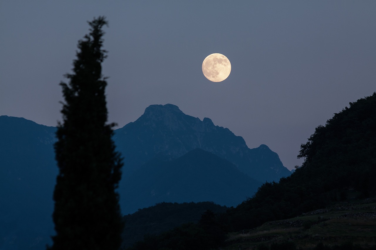 moon cypress mountains nature moonrise full moon romantic night eve dusk almost night