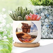 2 Piece Ceramic Plant Pot Denver U.S. Counties in Colorado Small Flowers Pots Custom Denver Cityscape Flower Pot for Indoor Watercolor Art Cityscape Plant Pot with Drainage