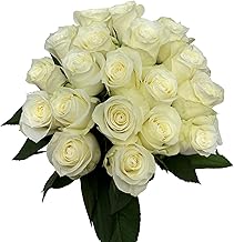 24 White Roses Fresh Cut Flowers Hydroponic Flower Arrangement Express Love birthday gift Los Angeles flower wholesale market