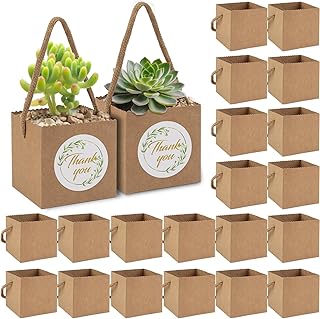 60pcs Succulent Wrap Bags Bulk Fits 2.5 Inch Pots with Thank You Stickers, Mini Kraft Paper Succulent Gift Box Basket with Handles for Wedding, Baby Shower, Succulent Plants Party Favors for Guests