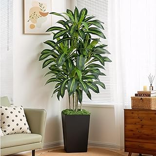 6FT Artificial Dracaena Tree - High-Density Foliage Fake Plant with Black Tall Planter - Faux Yucca Floor Plant for Home Office Decor Indoor