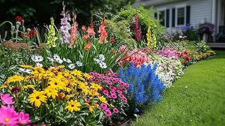 Amazing Deal - Complete Spring & Summer 100 Bulbs Blooming Flower Garden - Beautiful Flowers That Will Attract Bees, Butterflies & Hummingbirds and Other Pollinators - Easy to Grow 1000's Sold