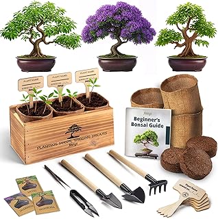 Avergo Bonsai Tree Kit – 3X Unique Japanese Bonzai Trees | Complete Indoor Starter Kit for Growing Bonsai Plants with Tools & Planters – Gardening Gifts for Women & Men