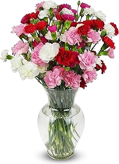 Benchmark Bouquets - 20 Stem Rainbow Mini Carnations (Glass Vase Included) - Fresh Flowers for Delivery - Gift for Birthday, Anniversary, Sympathy, Get Well, Congratulations, Thanksgiving, Christmas