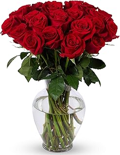 Benchmark Bouquets - 24 Stem Premium Red Roses (Glass Vase Included) - Fresh Flowers for Delivery - Gift for Graduation, Birthday, Anniversary, Sympathy, Get Well, Congratulations