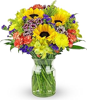 Benchmark Bouquets - Flowering Fields (Glass Vase Included) - Fresh Flowers for Delivery - Gift for Birthday, Anniversary, Sympathy, Get Well, Congratulations, Thanksgiving, Christmas