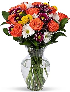 Benchmark Bouquets - Life is Good Orange (Glass Vase Included) - Fresh Flowers for Delivery - Gift for Graduation, Birthday, Anniversary, Sympathy, Get Well, Congratulations