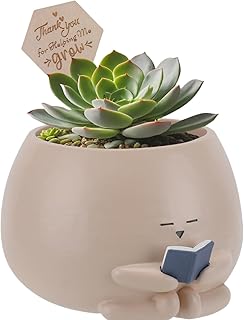 Bookworm Planter Pot Succulent Pot for Book and Plant Lover & Thank You Card, Emotional Support Gift, End of School Gift, Teacher Gift Mother Dad Appreciation M