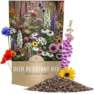 Deer Resistant Wildflower Seed Mixture - Bulk 1/4 Pound Bag - Over 60,000 Deer Tolerant Seeds - Open Pollinated and Non GMO