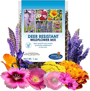 Deer Resistant Wildflower Seeds - 1oz, Open-Pollinated Flower Seed Mix Packet, No Fillers, Annual, Perennial Wildflower Seeds for Planting - 1 oz