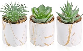 Der Rose 3 Pack Small Fake Plants Succulents Plants Artificial in Pots for Home Office Desk Decor for Women