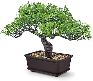 Der Rose 8'' Artificial Bonsai Tree Small Fake Potted Plants for Mens Zen Japanese Home Office Desk Bathroom Shelf Decor Indoor