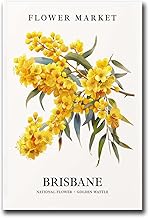EDBAJUF Canvas Posters and Print Pictures Brisbane Flower Market Art Print Brisbane Australia Wall Art Flower Poster Modern Home and Bedroom Decoration20x30inch without Frame