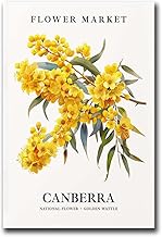 EDBAJUF Printed Canvas Poster Wall Art Canberra Flower Market Art Print Australia Wall Art Poster Botanical Home DModern Art Decoration for Living Room Bedroom Office 12x18inch without Frame