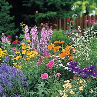 Ferry-Morse Deer Resistant Mix Bulk Wildflower Seeds, 1lb