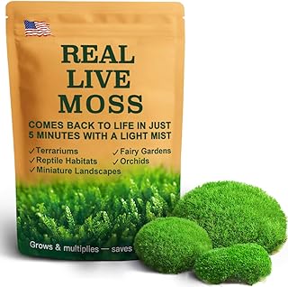 Fresh Real Live Moss Variety Pack for Orchids & Mini Landscapes DIY Terrariums, Bonsai, Reptile Habitats & Potted Plants | Revives Quickly with Mist, Soft Green Texture (Whole 8"x8" Leucobryum Moss)