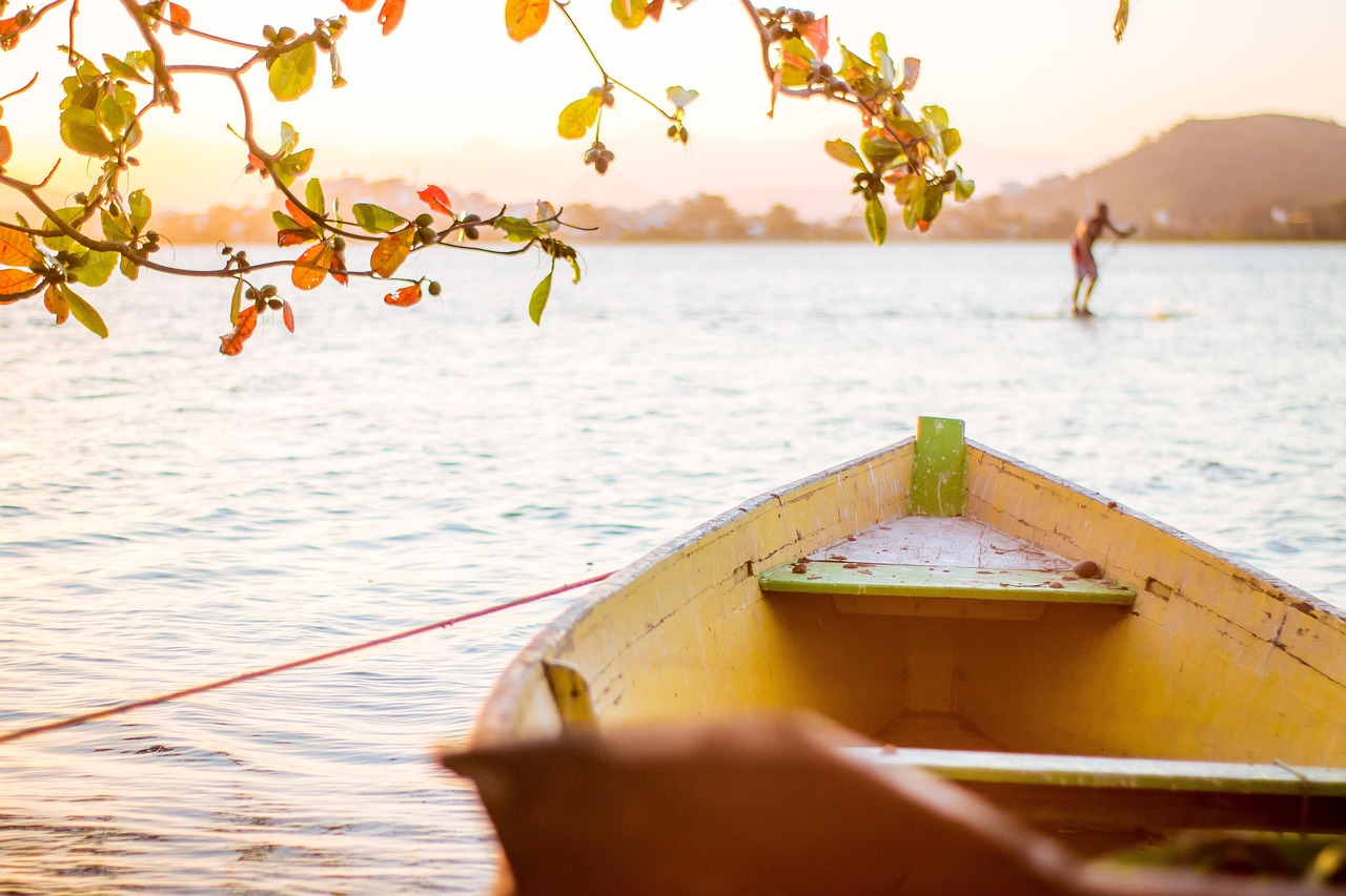 Top Decorative Tips for Styling Your Tropical Plant Containers