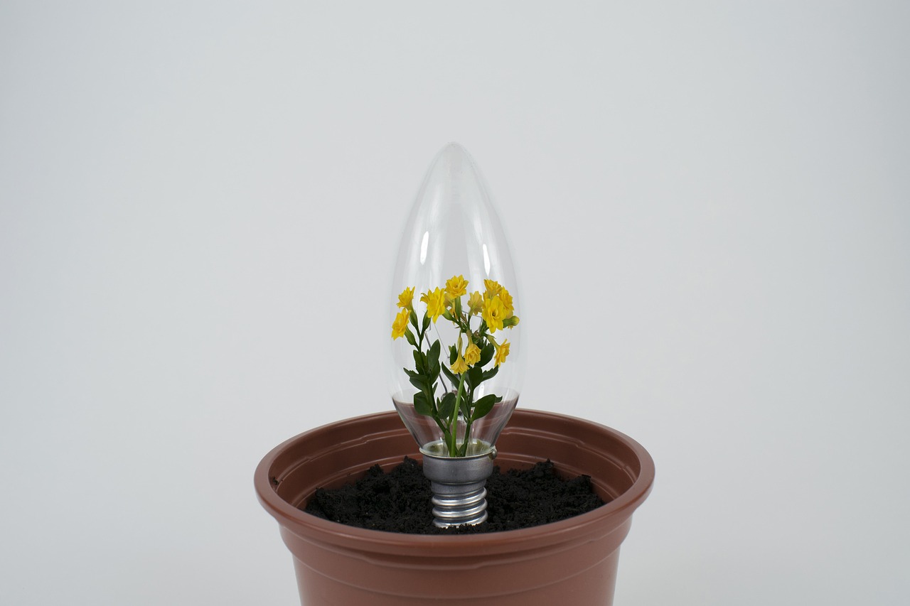 Elevate Your Indoor Jungle: Creative Pot Ideas for Tropical Plants