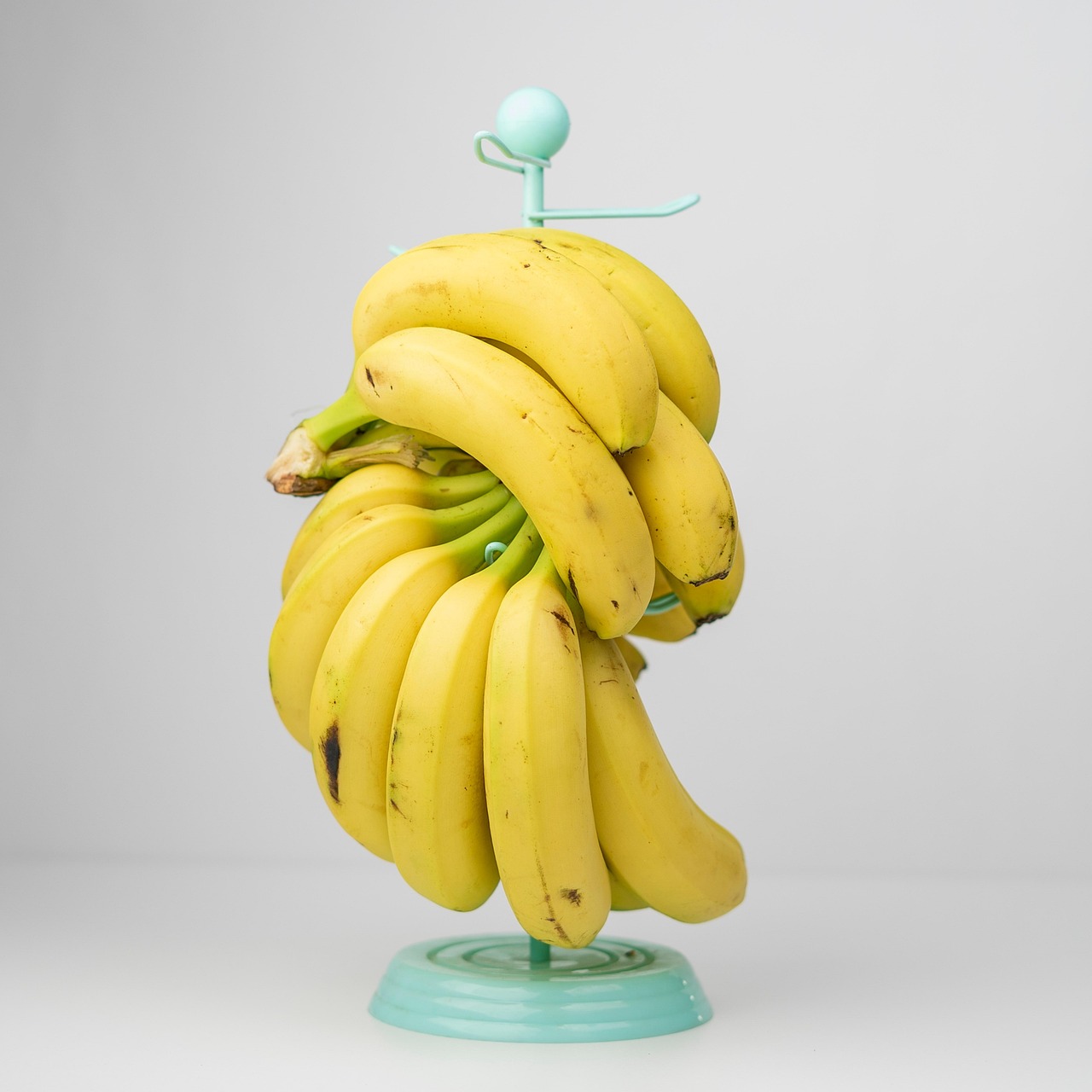 Unlocking Growth: Nutrient Needs of Tropical Plants