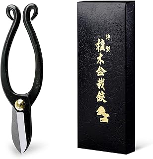 Hanafubuki Wazakura Ikenobo Ikebana Flower Scissors MADE IN JAPAN 6.5inch(165mm), Japanese Floral Arranging Tools, Kado Hasami Shears - Ikenobo Black