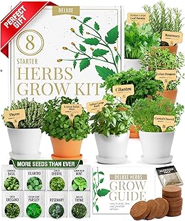 HOME GROWN Gift Herb Kit – 8 Herb Seeds Set with Basil, Cilantro, Mint & More, Complete Indoor Grow Kit for Kitchen, Gardening Gifts for Women & Men, Ideal for Cooking & Home Décor