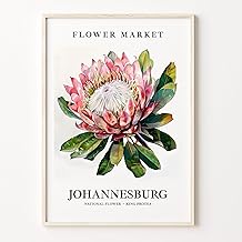 Johannesburg Flower Market Art Print, South Africa Poster Wall Floral Decor Artwork Poster Johannesburg Flower Market Decor, South Africa Print Wall Floral Art Decorwork,148