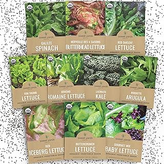 Organic Lettuce & Greens Seeds Variety Pack - 10 Individual Packs - 2026 Season - Buttercrunch, Arugula, Romaine, Kale and More! for Indoor & Outdoor Planting (Non-GMO, Certified Organic)