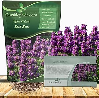 Outsidepride Lemon Bee Balm Seeds - 5000 Pcs Annual, Easy to Grow & Pollinator Friendly Monarda Citriodora Flower Seeds for Planting Fragrant Lavender Pink Blooms, Ideal for Teas & Potpourri