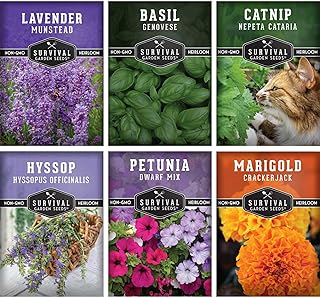 Pest Defense 6 Pack Seeds for Planting - Heirloom Lavender, Hyssop, Catnip, Marigold, Petunia, Basil - Natural Pest Deterrents for Outdoor & Indoor Spaces - Survival Garden Seeds