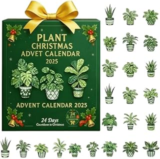Plant Advent Calendar Mystery Box 2025, 24-Day Christmas Countdown with Mini Succulents Air Plants and Herbs, Botanical Holiday Home Decor Gift for Plant Lovers